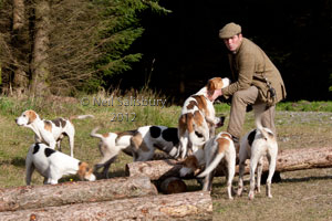 Hunting Photography by Betty Fold Gallery Hawkshead Cumbria